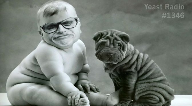 YR1346 Isn’t healthcare at least as important as a little girl getting pulled in the water by a sea lion?