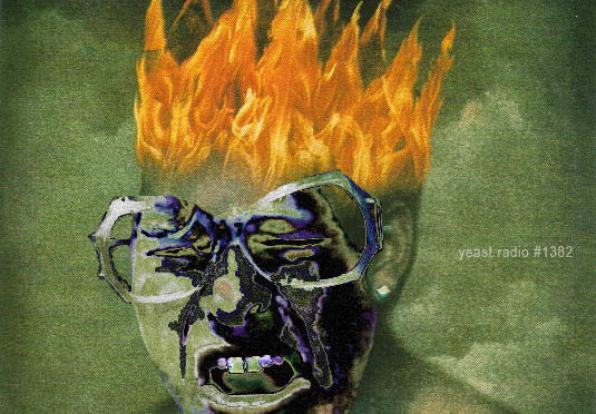 YR1382 Chickens Can’t Vote